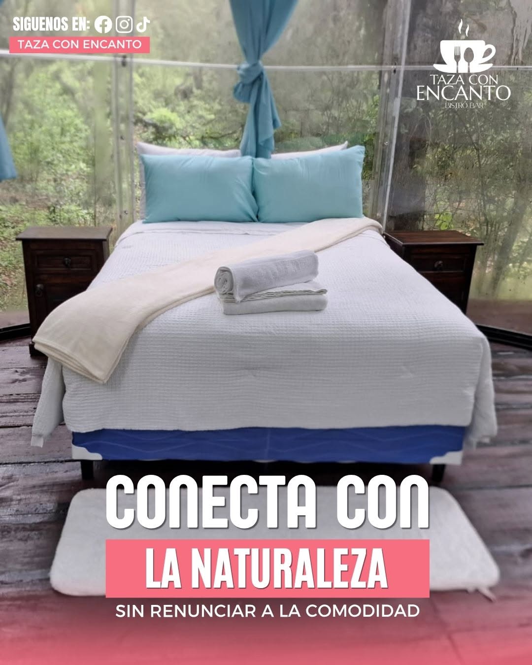 Habitaciones del hotel Taza con Encanto